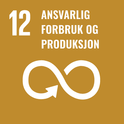 mål 12 ansvarlig forbruk