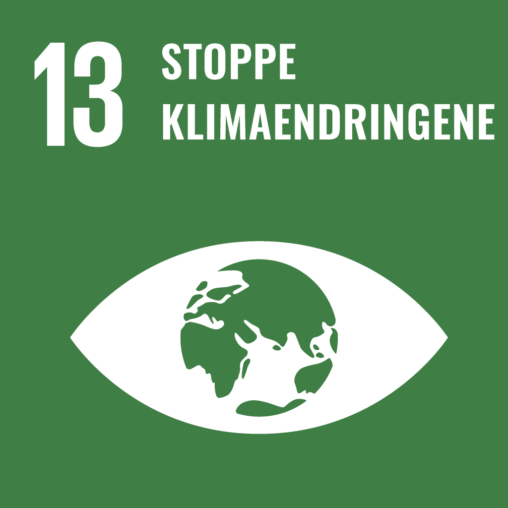 mal 13 stoppe klimaendringene
